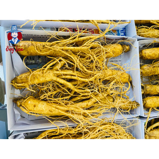 Sâm Củ Tươi Hàn Quốc Cao Cấp 6 Củ/ Kg