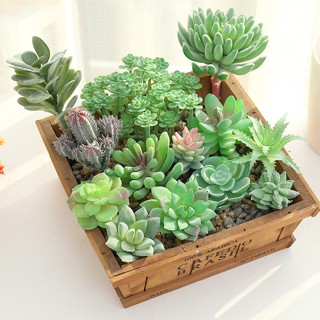 Cây sen đá giả xương rồng nhân tạo đủ size loại chống xước đủ mẫu giống thật 99% decor trang trí bền đẹp