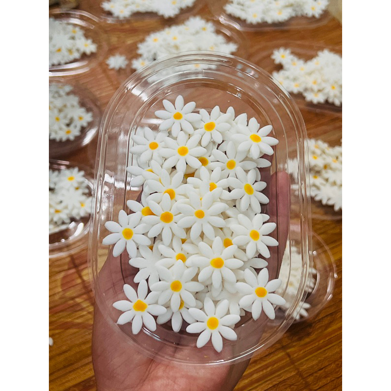 hoa cúc Gumpaste trang trí bánh kem hộp 200 bông