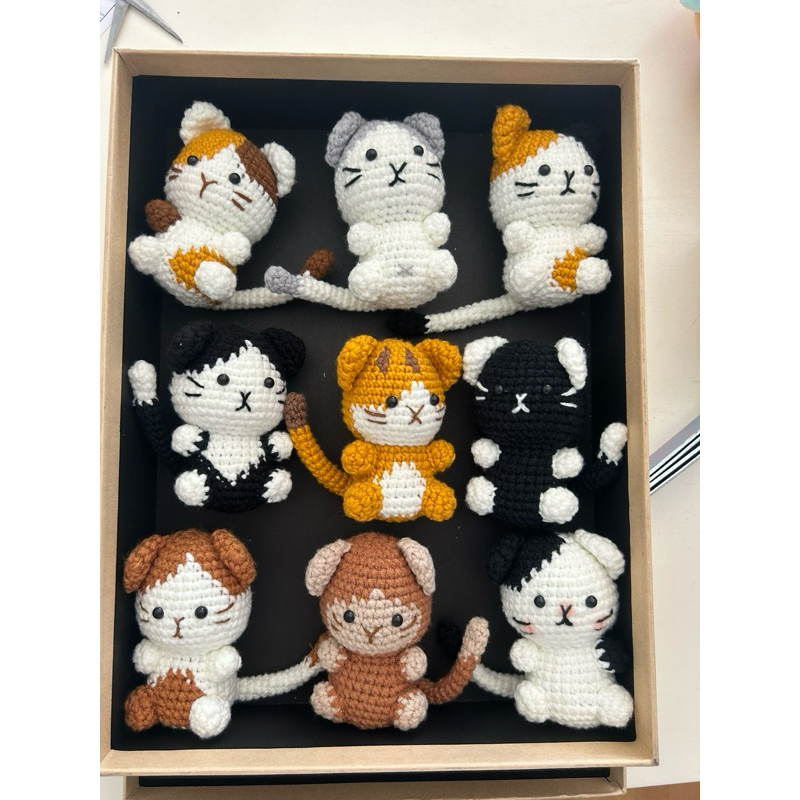 Chart mèo len mini, chart mèo len nhung, chart khủng long baby.