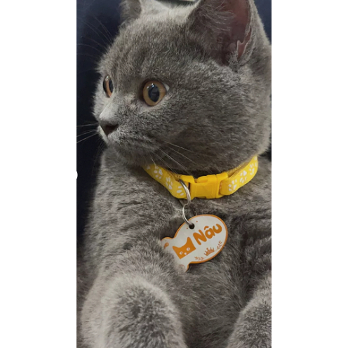 Combo thẻ tên thú cưng+ Vòng đeo cổ 2 lớp ( tặng chuông)