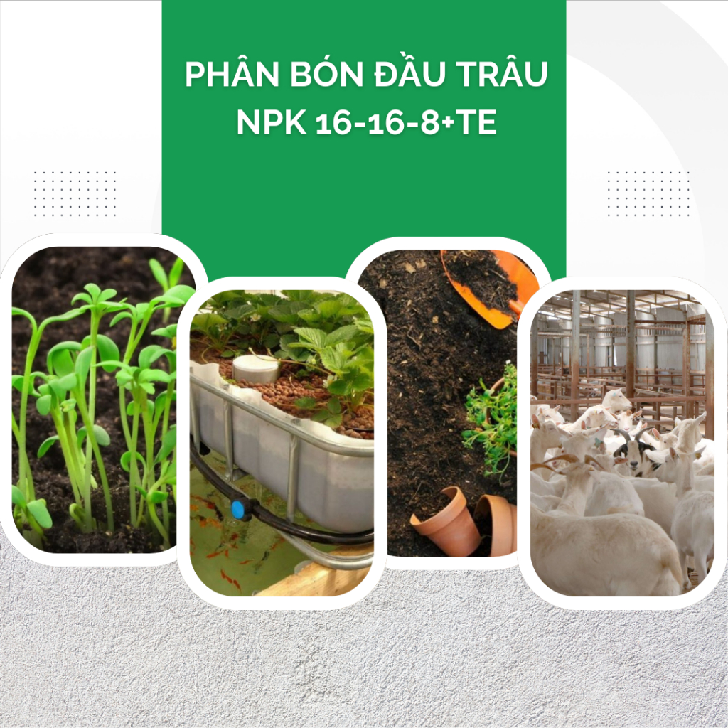 Phân Bón Đầu Trâu NPK 16-16-8+TE Túi 1KG (bán lẻ) - Nảy Chồi, Ra Hoa, Tăng Trưởng Mạnh