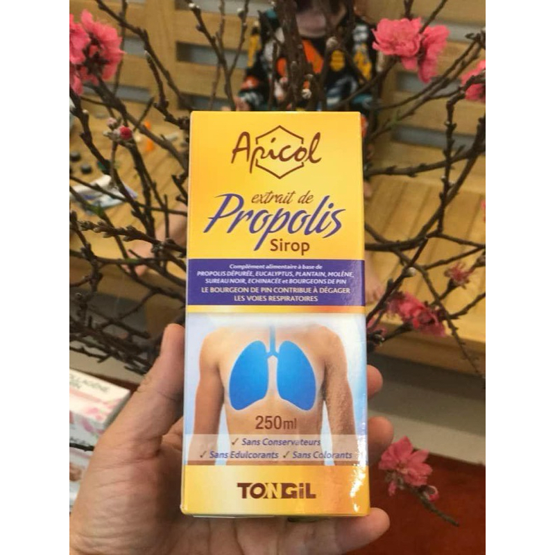 Bổ phổi Apicol Propolis 250ml của Pháp