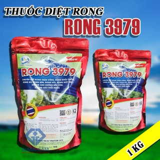 Xử Lý Rong Tảo Dạng Hạt - Rong 3979 - Diệt Rong Trong Ao Nuôi Trồng Thủy Sản - Gói 1kg