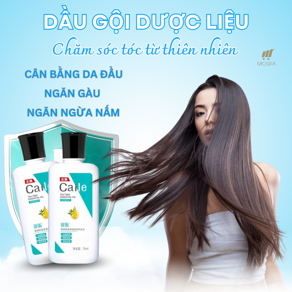 Dầu Gội Dược Liệu CAILE Chai 70ml Giúp Bay Sạch Gàu, Nấm, Ngứa, Viêm Nang Tóc, Viêm Da Tiết Bã Nhờn Chỉ Sau 1 Lần Gội