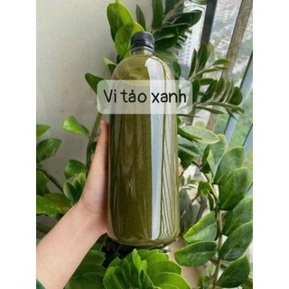  Sỉ 1 LÍT PEEL DA VI TẢO chuyên dụng trong spa { peel mặt;nách;mông;lưng;body,,}  