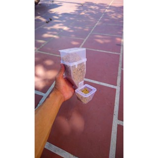  COMBO 5 máng ăn chống vảy chứa 500g thức ăn tiết kiệm thức ăn cho nhiều loại chim 