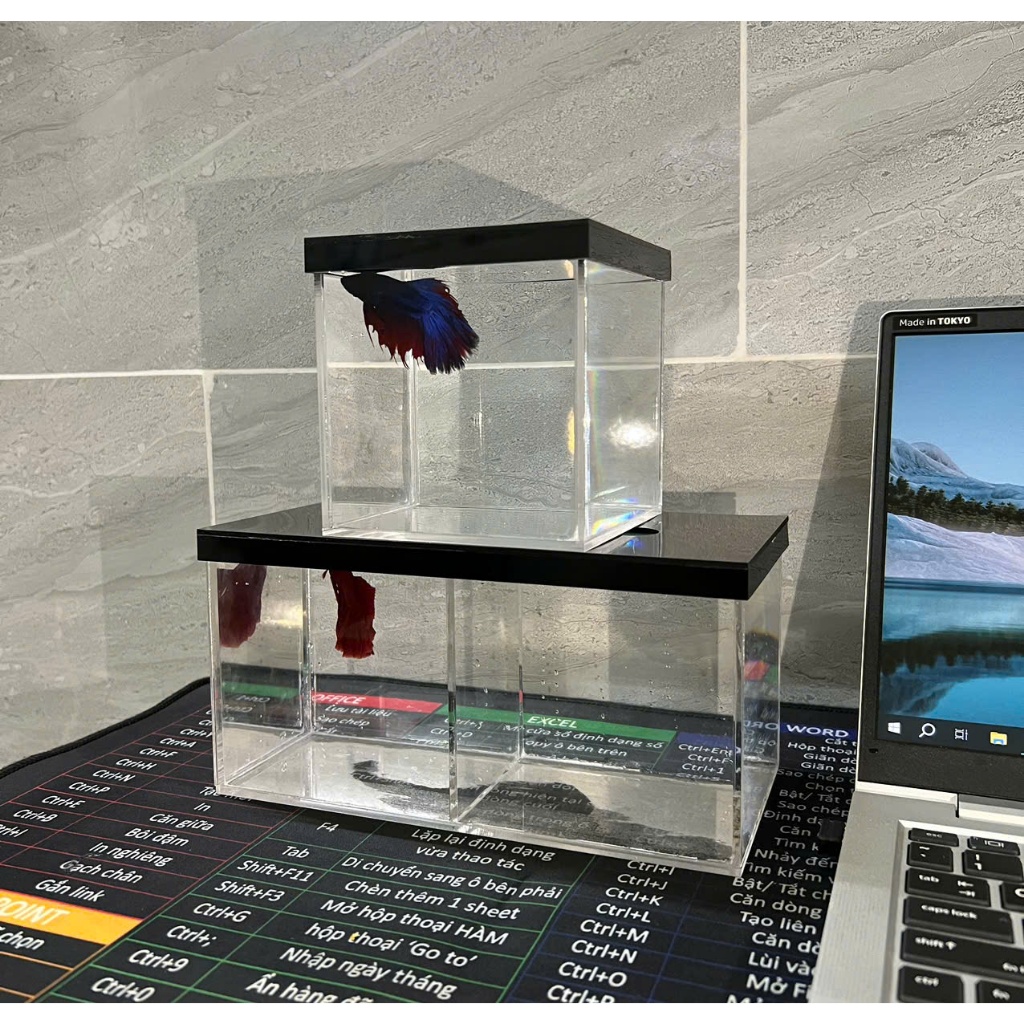 Bể Cá Mini MICA Đài loan trong suốt, Kích thước 10cm x 10cm x10cm,  20cm x 10cm x 10cm.