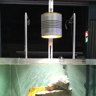 Giá treo đèn Inox Week Aqua cho bể thủy sinh, cá cảnh