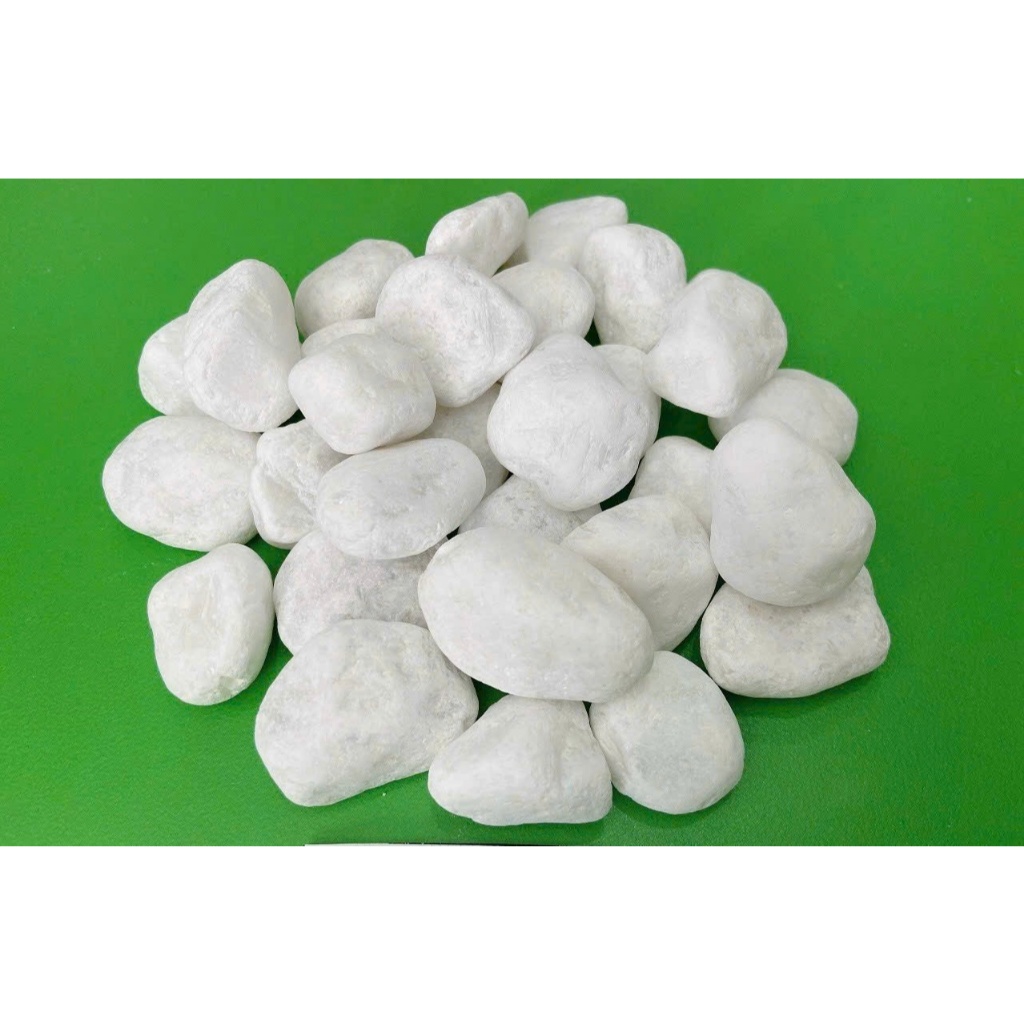 SỎI TRẮNG TRÒN - BAO 12KG ( GIÁ TỐT NHẤT ) - SỎI TRANG TRÍ