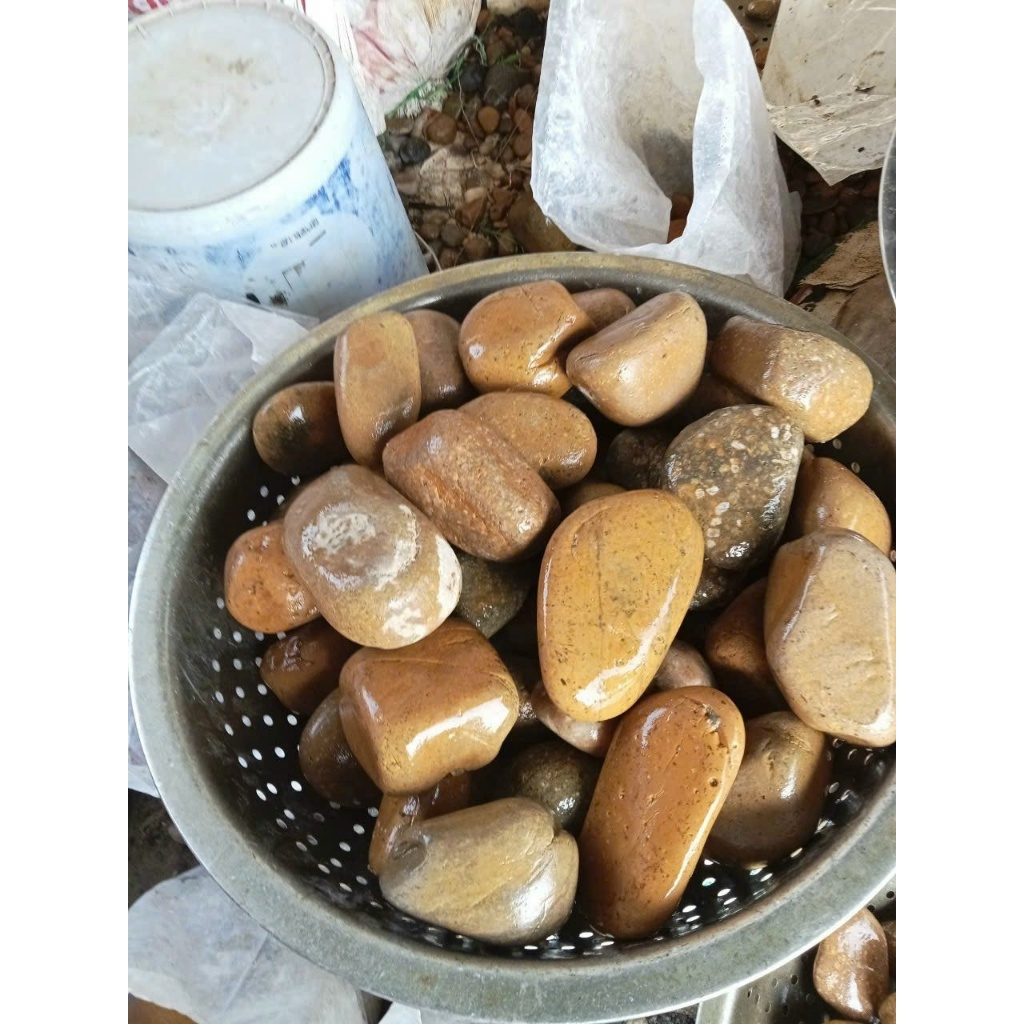 SỎI VÀNG TỰ NHIÊN - BAO 12KG