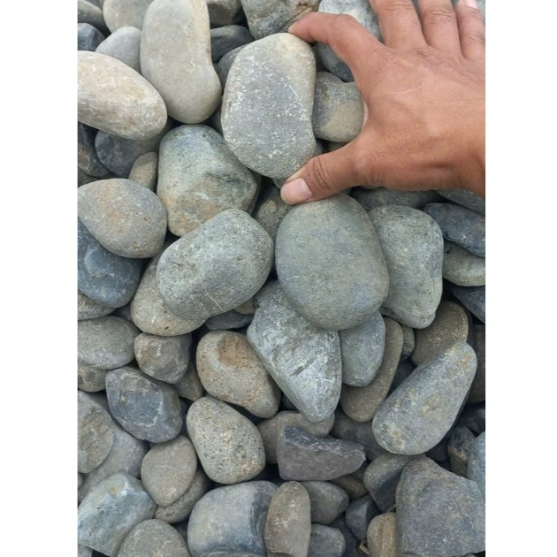 SỎI CUỘI - BAO 12KG - SỎI ĐÁ TRANG TRÍ