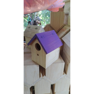 Tổ ngủ, sinh sản chim manh manh, 7 màu, finch … treo trong avi