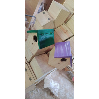 Tổ ngủ, sinh sản chim manh manh, 7 màu, finch … treo trong avi