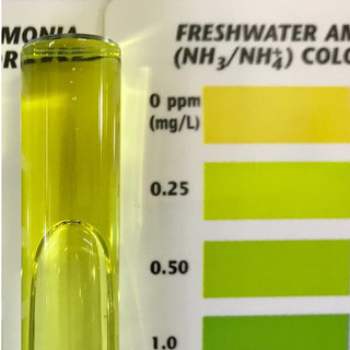 Bộ test Nh3, Nh4 API Test Kit cho bể cá cảnh, thủy sinh