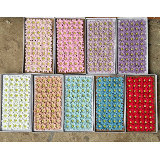 Hoa cúc sáp hoạ mi nhí hộp 50 bông