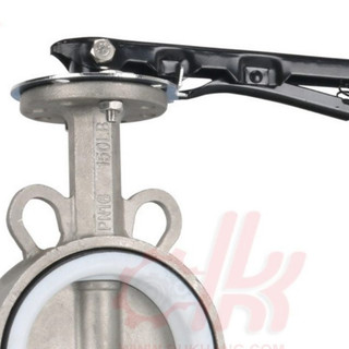 Van bướm inox 304
