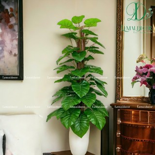 Cây Trầu Bà Cột Giả Cao 1M6 thân to, lá dày đẹp hàng loại 1, trang trí nhà cửa, quán cafe, nhà hàng