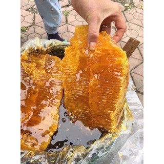 Mật ong rừng