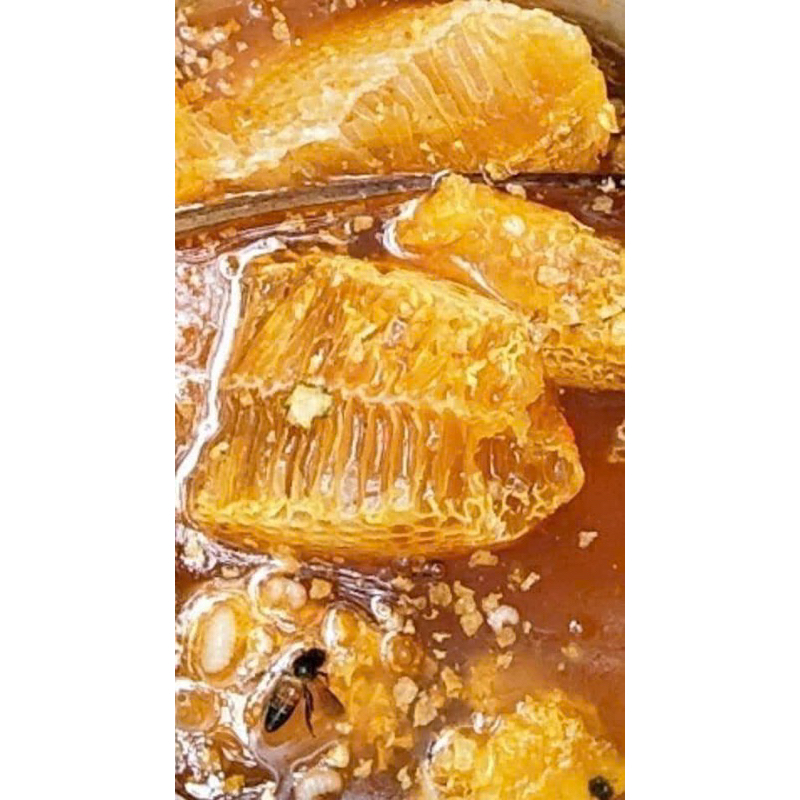 Mật ong rừng