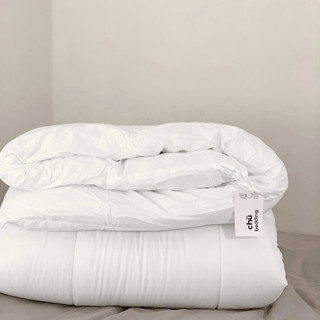 ✨SẴN✨RUỘT CHĂN ĐÔNG CHĂN HÈ Cao cấp CHÙ BEDDING đầy đủ từ Mỏng đến Siêu dày size tiêu chuẩn 2mx2m giữ ấm, giữ nhiệt tốt