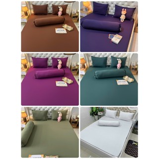 Màu Trơn -  Link 02 -  Bộ ga giường thun Latico siêu lạnh Lụa (áo gối ôm khóa kéo)