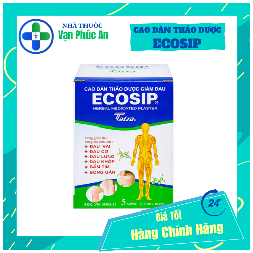 Cao Dán Thảo Dược Giảm Đau ECOSIP Túi 5 Miếng