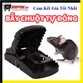 COMBO 5 Bẫy Bắt Chuột Thông Minh Dễ Sử Dụng Hiệu Quả Bẫy Chuột Chất Liệu Nhựa Cao Cấp Lực Cắn Mạnh