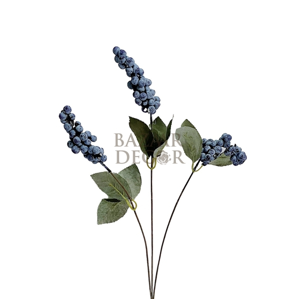 Cành quả việt quất Blueberry 65cm