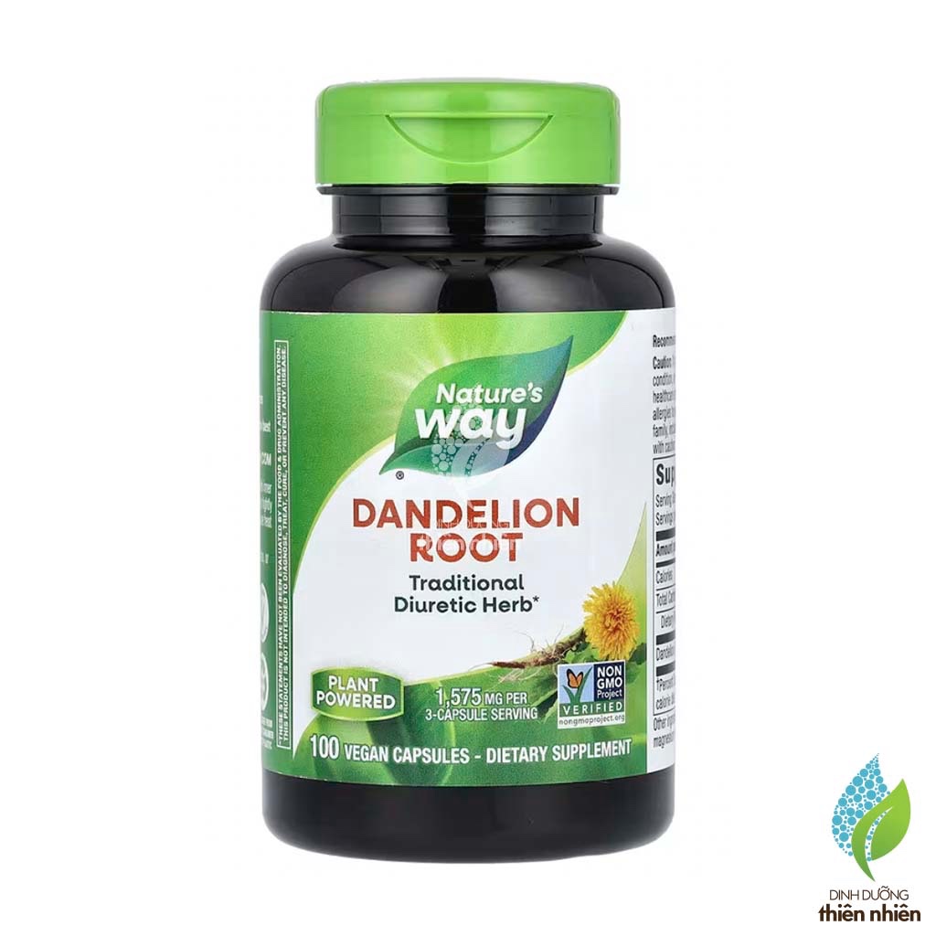 Rễ Bồ Công Anh Nature's Way Dandelion Root, 100v