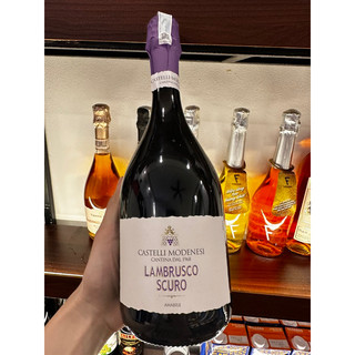 Castelli Modenesi Lambrusco