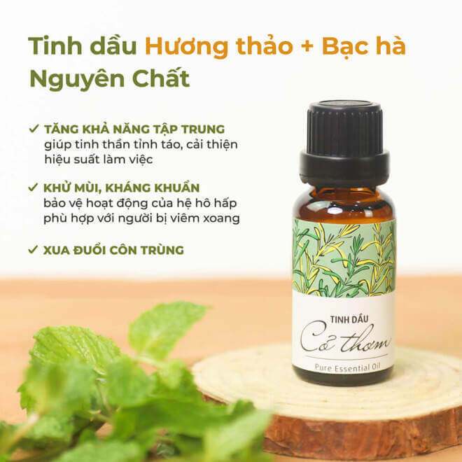 Tinh Dầu Xông Phòng Thiên Nhiên Nguyên Chất Mix Đa Hương An Toàn Cỏ Mềm 20ml