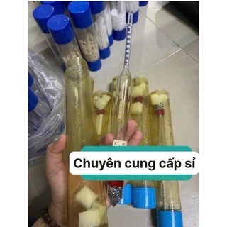 Ống đo độ mặn, Ống đo độ mặn và nhiệt độ nước