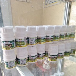 Thuốc diệt Muỗi Fen USA lọ 50ml