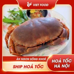 (Hoả Tốc HN) Cua Nâu Siêu Gạch NaUy Việt Food, Cua Nâu Siêu To Chắc Thịt Nhiều Gạch 1k-1,2 Kg