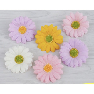 Hoa cúc sáp hoạ mi bông to ( hộp 50 bông)
