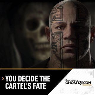 Đĩa game Tom Clancy’s Ghost Recon Wildlands ps4