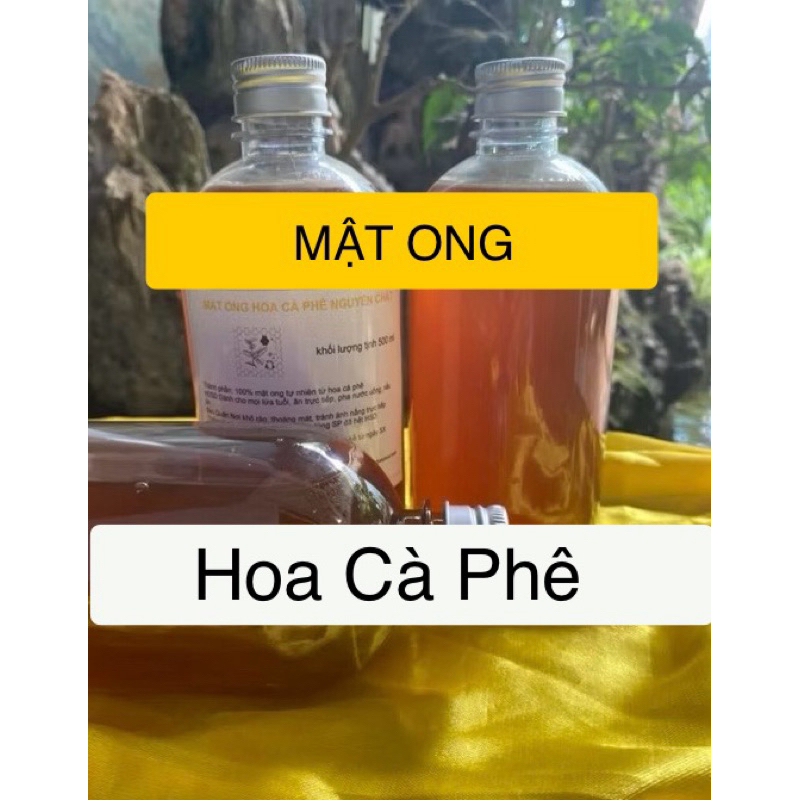 Mật ong hoa cafe-Dark Honey-500ml--