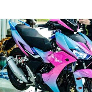  Tem Trùm Xanh Loang Hồng Winner X 