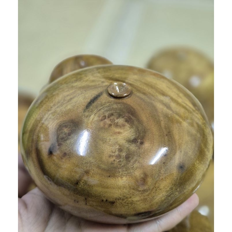 Gỗ xá xị có nu