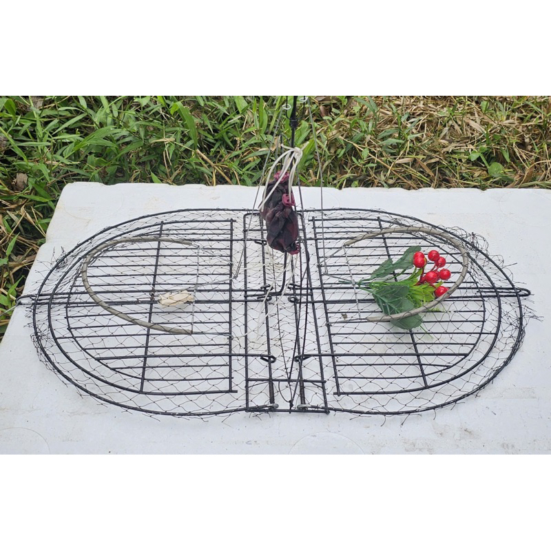 Mẹt Bẫy Cho Chòe Than Và Chòe Lửa