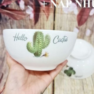 tô sứ đẹp - tô sứ