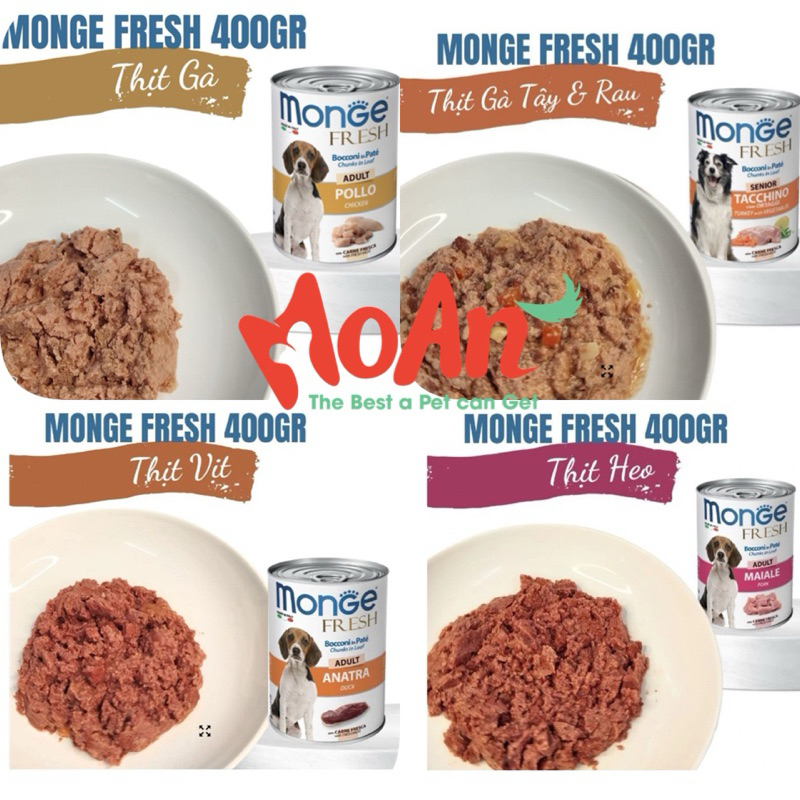 Monge Ý pate cho chó