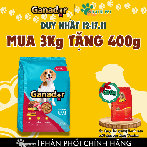 Thức ăn hạt cho chó trưởng thành vị Bò Ganador Beef