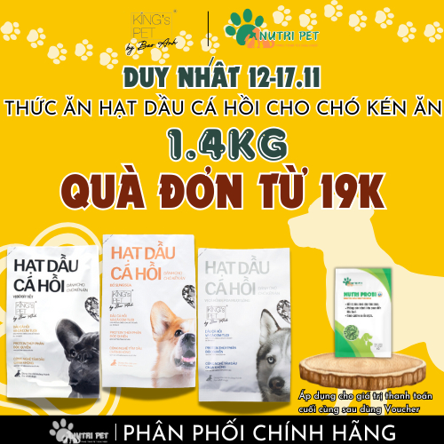 Hạt dầu cá hồi dành cho chó kén ăn King's Pet by Bao Anh