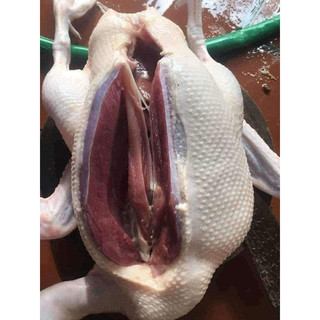 ngan quê ngan tơ
