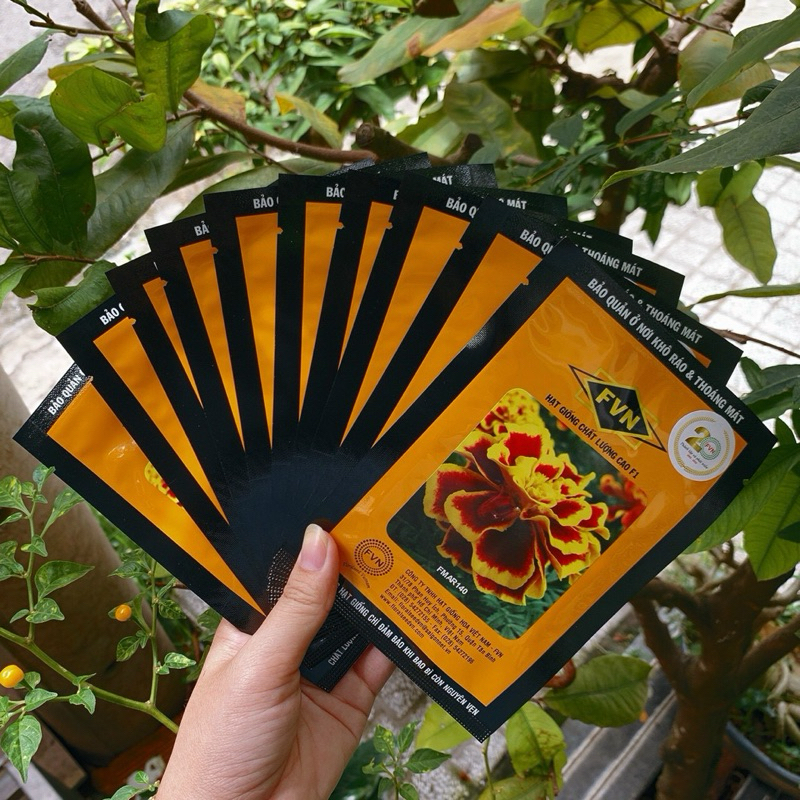 Hoa vạn thọ ban mai FVN gói 100 hạt