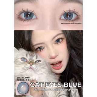  Lens DOUYIN mắt mèo xanh thương hiệu LENSLENS giãn to 14.5mm có độ cận Kính áp tròng CAT EYES BLUE lens xanh sáng 