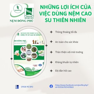 Nệm Friendly Cao Su Thiên Nhiên Đồng Phú, Mềm Mại, Êm Ái, Độ Đàn Hồi Cao, Bảo Hành 10 Năm