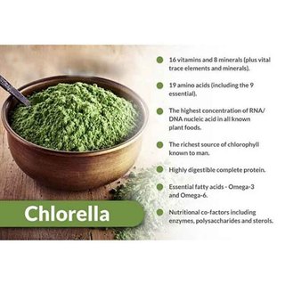 Tảo Lục Vital Chlorella Chính Hãng Hàn Quốc (hộp 30 gói)